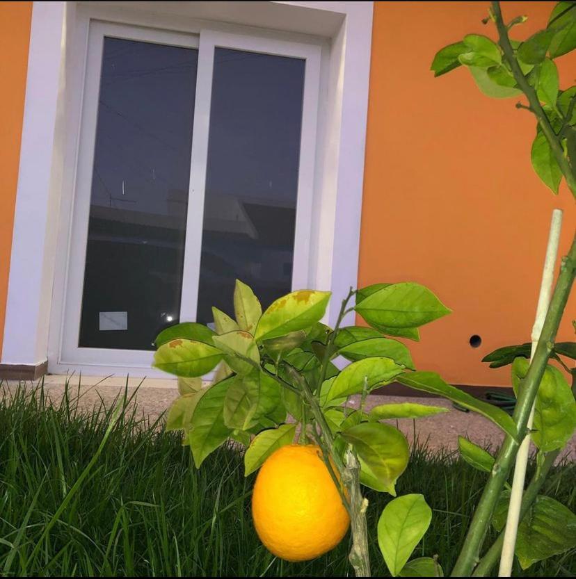 Orange Guest House ซาเกรส ภายนอก รูปภาพ